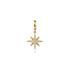 Bujukan Diamond Star Charm with Detachable Bail in 14K Yellow Gold - 2
