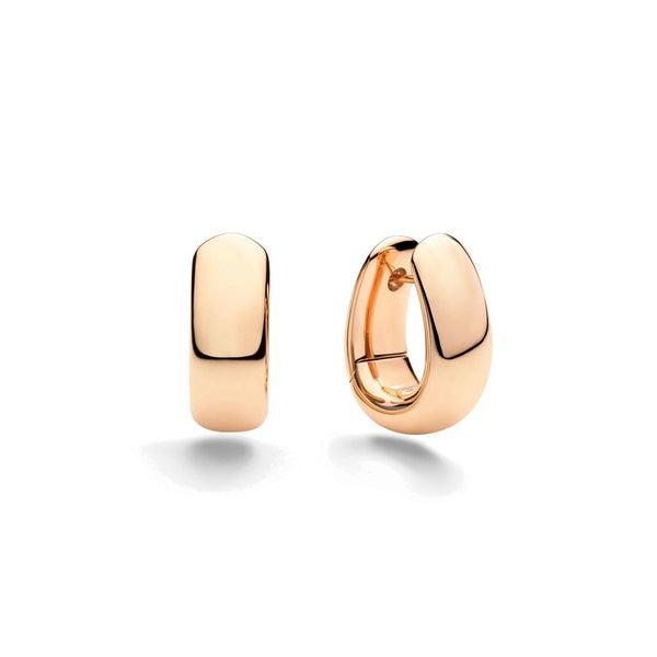 Iconica Earrings - 1