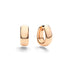 Iconica Earrings - 1