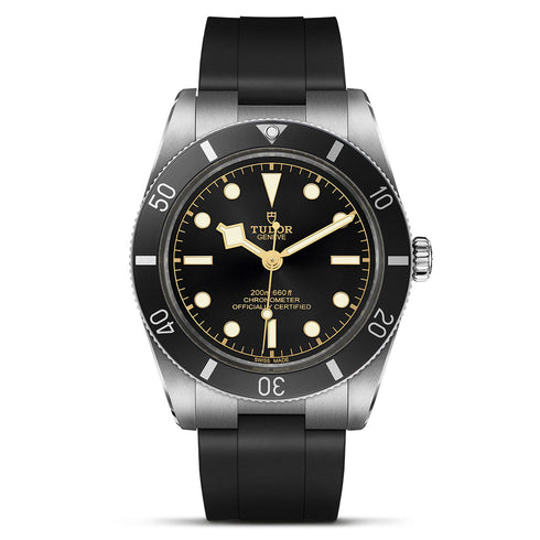 Black Bay 54 Watch - 2