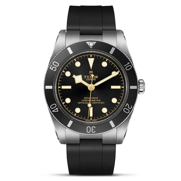 Black Bay 54 Watch - 2