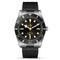 Black Bay 54 Watch - 2