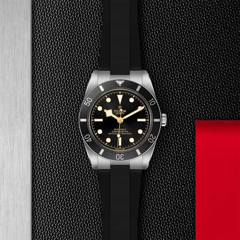 Black Bay 54 Watch - 5