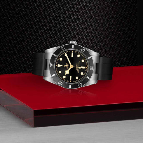Black Bay 54 Watch - 6