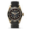 Black Bay 43 Watch - 2