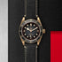 Black Bay 43 Watch - 3