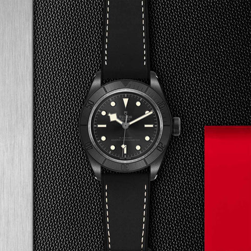 Black Bay 41 Watch - 3