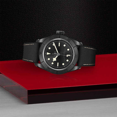 Black Bay 41 Watch - 4