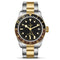 Black Bay GMT 41 Watch - 2