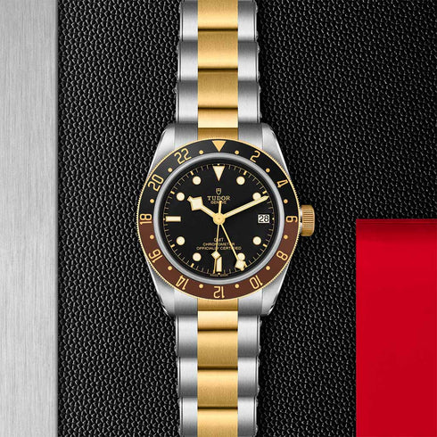 Black Bay GMT 41 Watch - 3