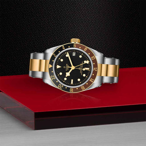 Black Bay GMT 41 Watch - 4