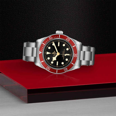 Black Bay 41 Watch - 4