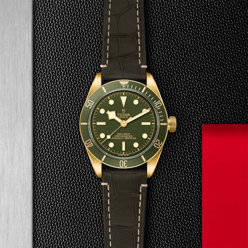 Black Bay 58 18K on Leather Strap - 3