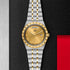 TUDOR Royal 41 Watch - 2