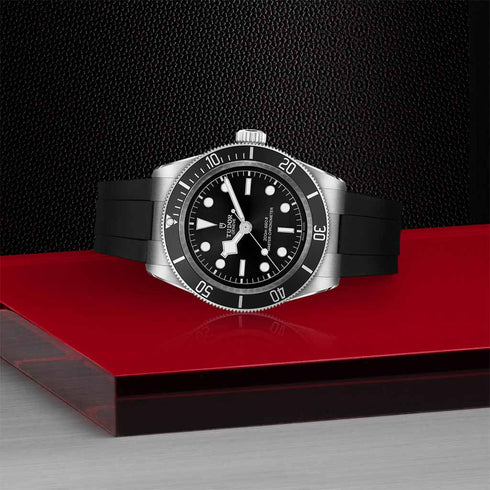 Black Bay 41 Watch - 3