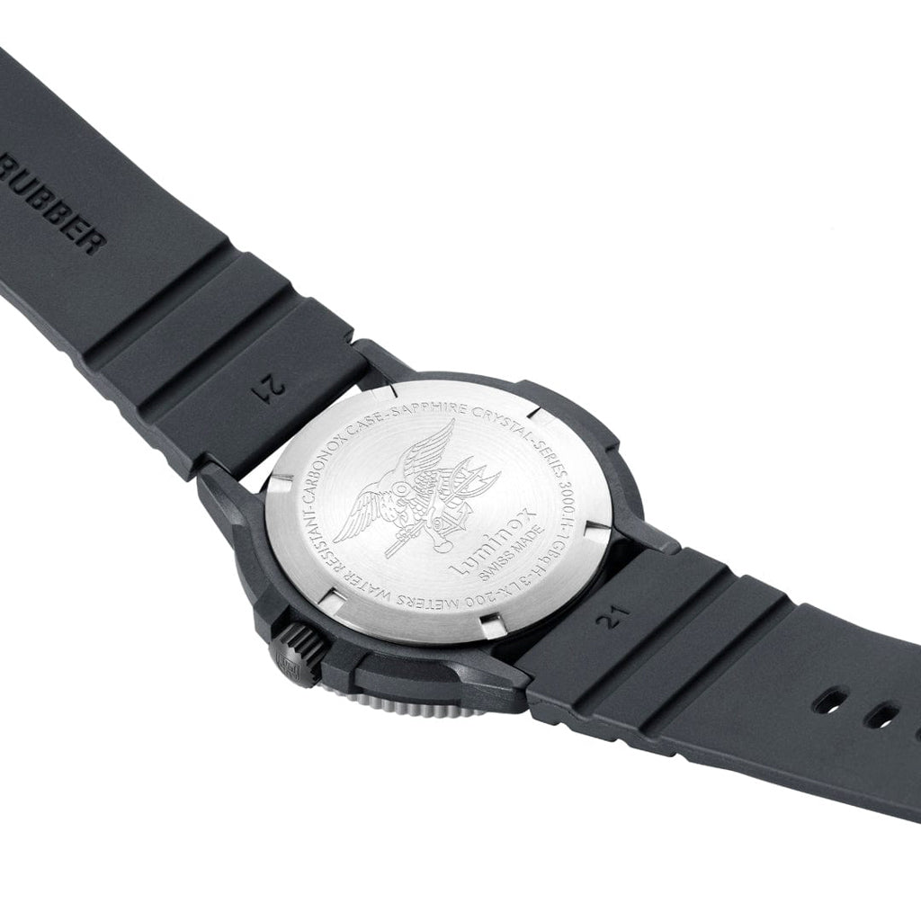 Leatherback Sea Turtle Giant Outdoor Watch