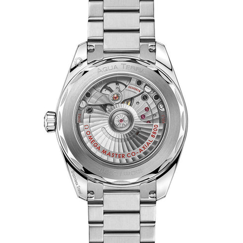Seamaster Aqua Terra 150M - 2
