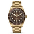 Black Bay 58 Bronze Watch - 1