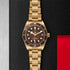 Black Bay 58 Bronze Watch - 2