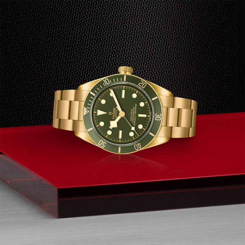 Black Bay 58 Watch - 5