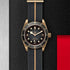 Black Bay 43 Watch - 3