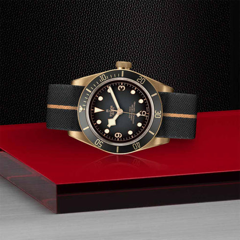 Black Bay 43 Watch - 4
