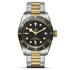 Black Bay 41 Watch - 2