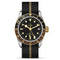Black Bay GMT 41 Watch - 2