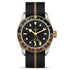 Black Bay GMT 41 Watch - 2