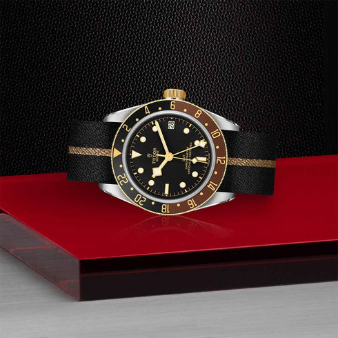 Black Bay GMT 41 Watch - 4