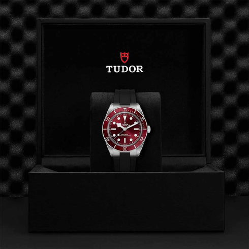 Black Bay 58 39 Watch - 4