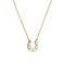 Horseshoe Diamond Pendant Necklace Small - 1
