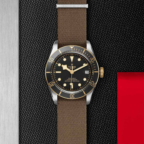 Black Bay 41 Watch - 6