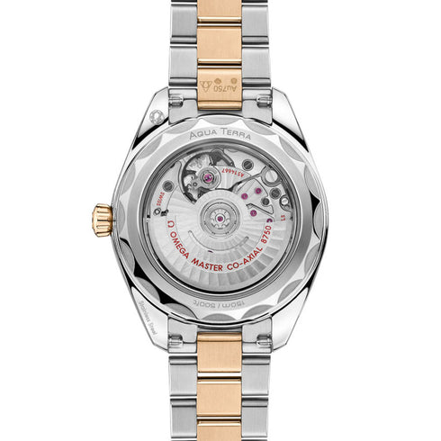 Seamaster Aqua Terra 150M - 3