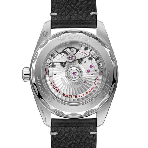 Seamaster Railmaster - 3