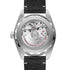 Seamaster Railmaster - 3