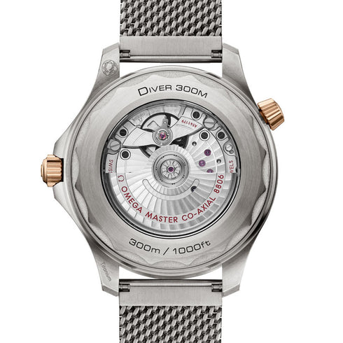 Seamaster Diver 300M - 2