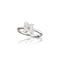 Petit Garden Ring - 1