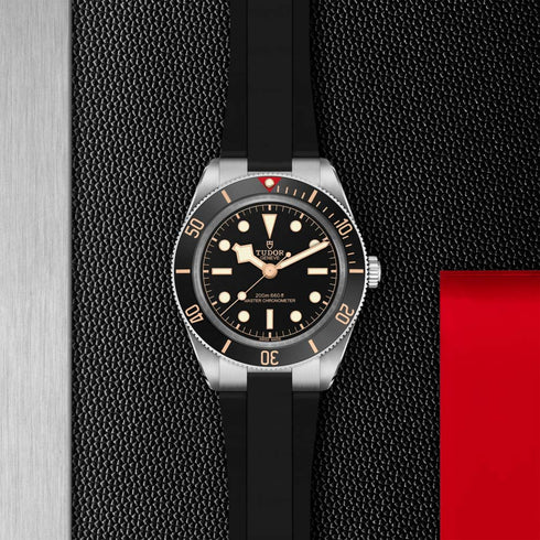 Black Bay 58 Watch - 2