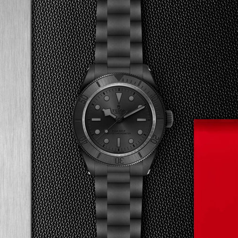 Black Bay Ceramic Watch - 2