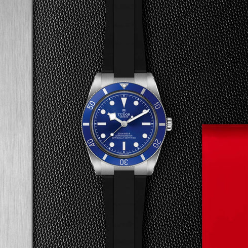 Black Bay 54 Watch - 2