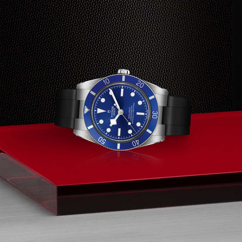 Black Bay 54 Watch - 3