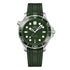 Seamaster Diver 300M - 1
