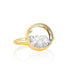 Core 12 Ring Rose-Cut - 1