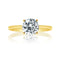 Round Diamond Knife Edge Band Engagement Ring - 1