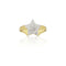 Star Signet Ring - 1