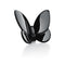 Papillon Lucky Butterfly Crystal - 1