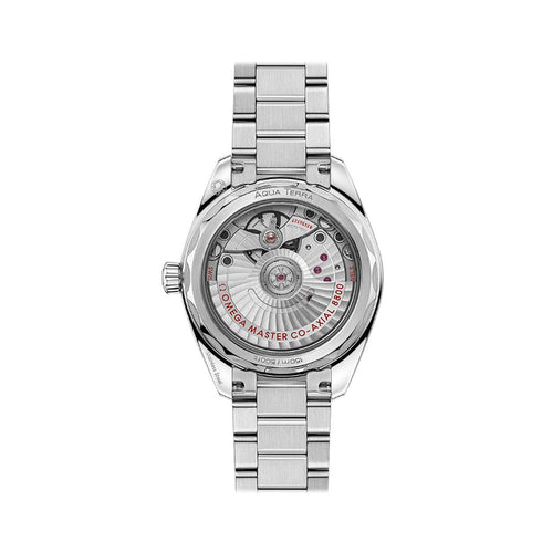 Aqua Terra Shades Co‑Axial Master Chronometer Watch - 2
