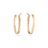 COCO CRUSH Hoop Earrings - 1