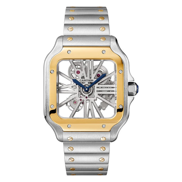 Santos de Cartier skeleton Watch - 1